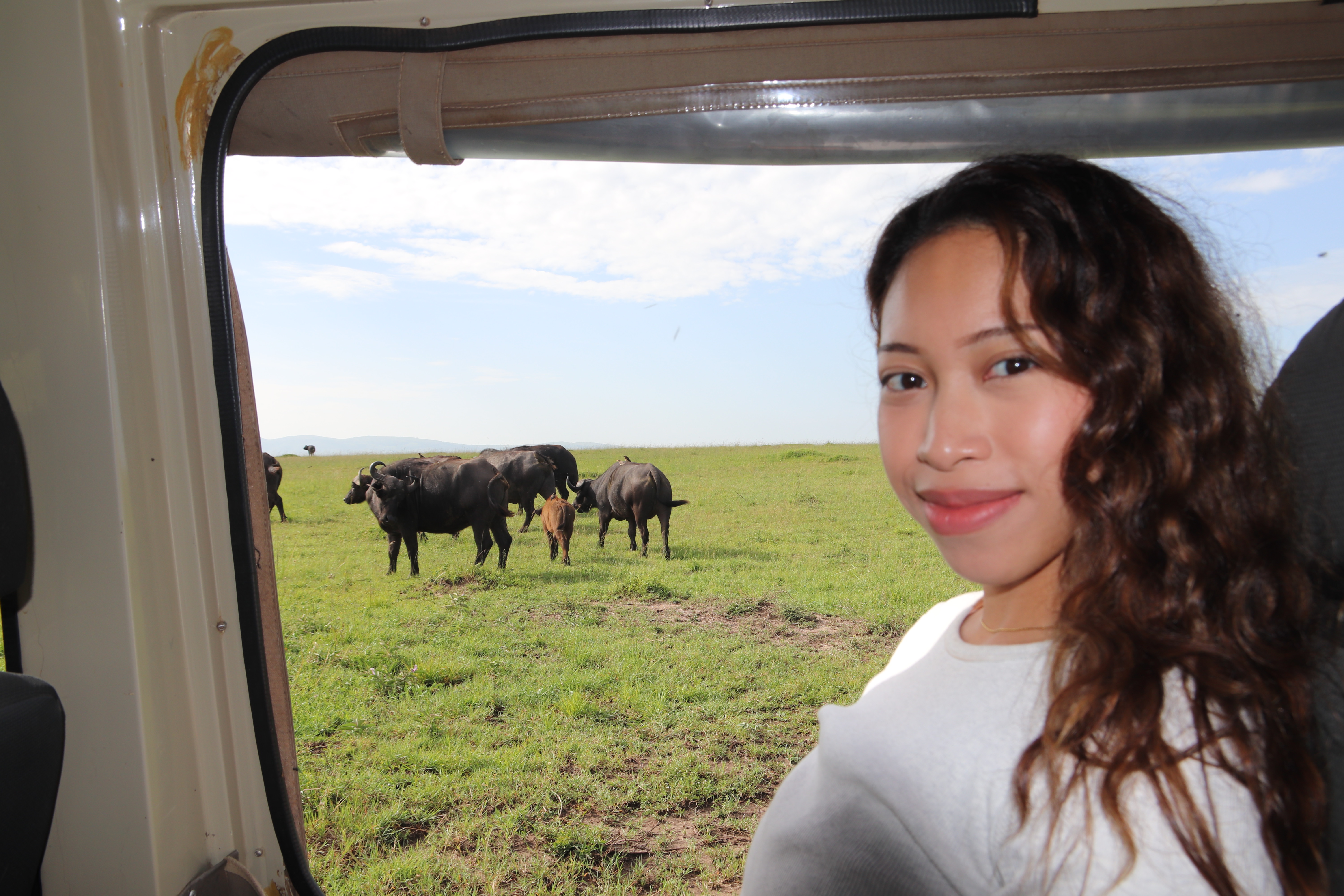 Deha in the safari vehicle with buffalo behind her
